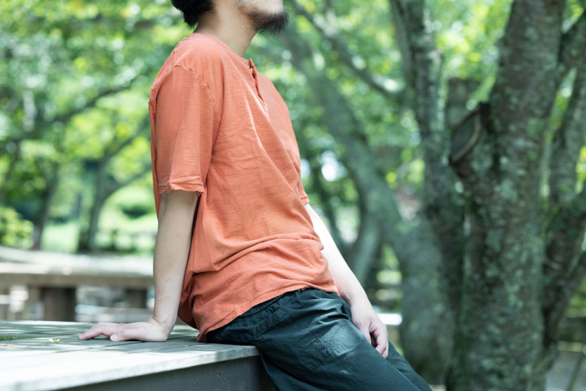 草木染めの天然色工房 tezomeya - オーガニックコットン Tシャツ