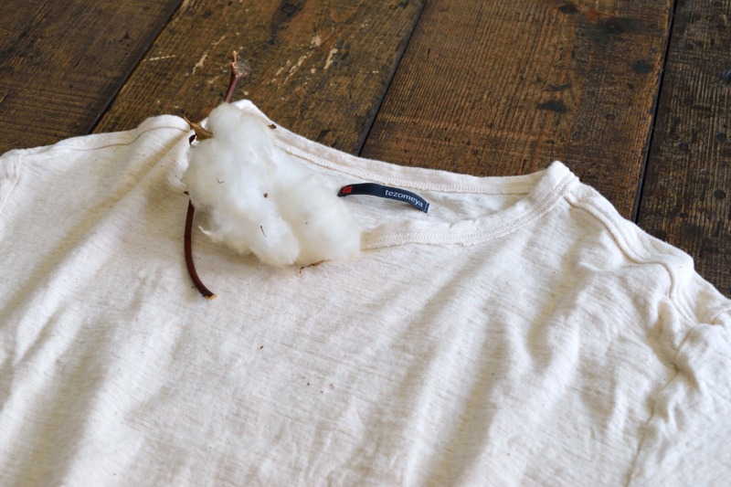 Organic Cotton<br>~why we love organic…