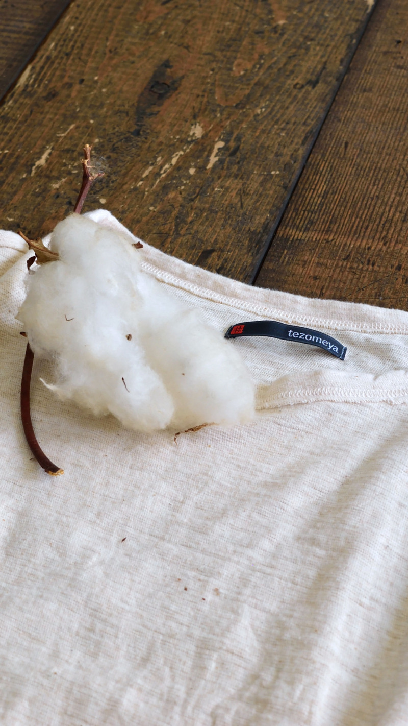 Organic Cotton<br>~why we love organic…