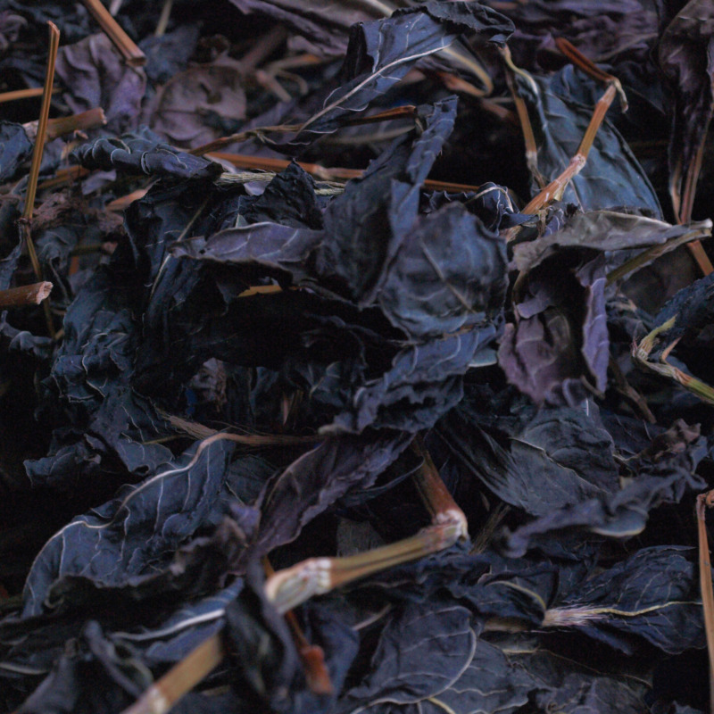 世界が愛する藍染め  Ⅰ　～天然染料と草木染めのイロイロ話