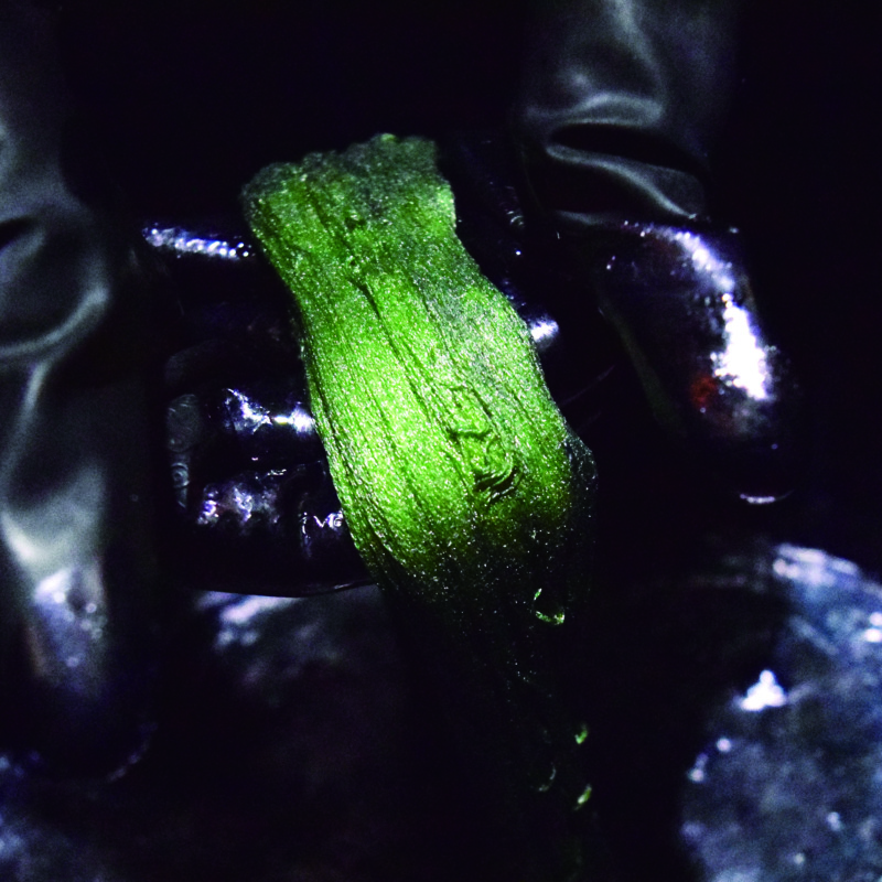 世界が愛する藍染め  Ⅲ 基本の藍染め　～天然染料と草木染めのイロイロ話